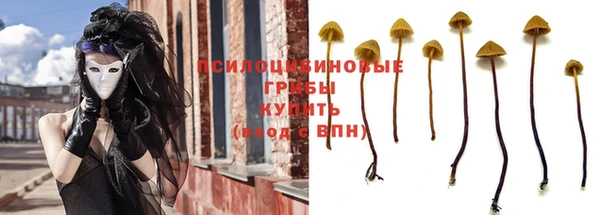 эйфоретик Бронницы