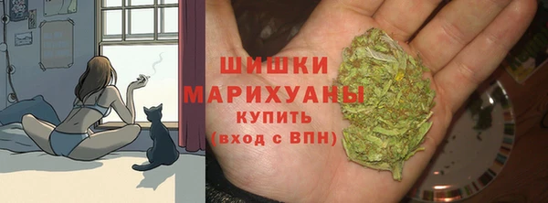 ешки Бугульма