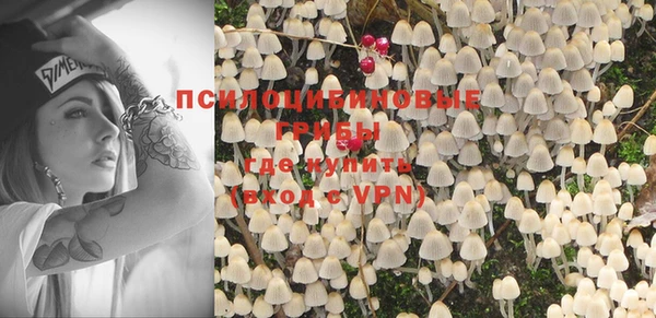 прущие крисы Верхний Тагил