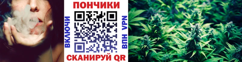 Бошки Шишки марихуана  Севастополь 